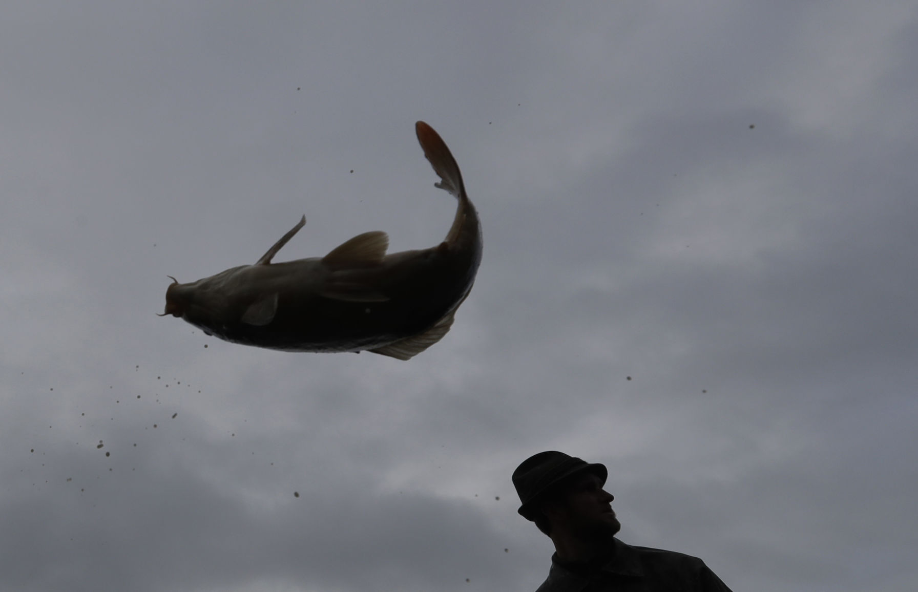 Czech Republic Carp Catching Photo Gallery
